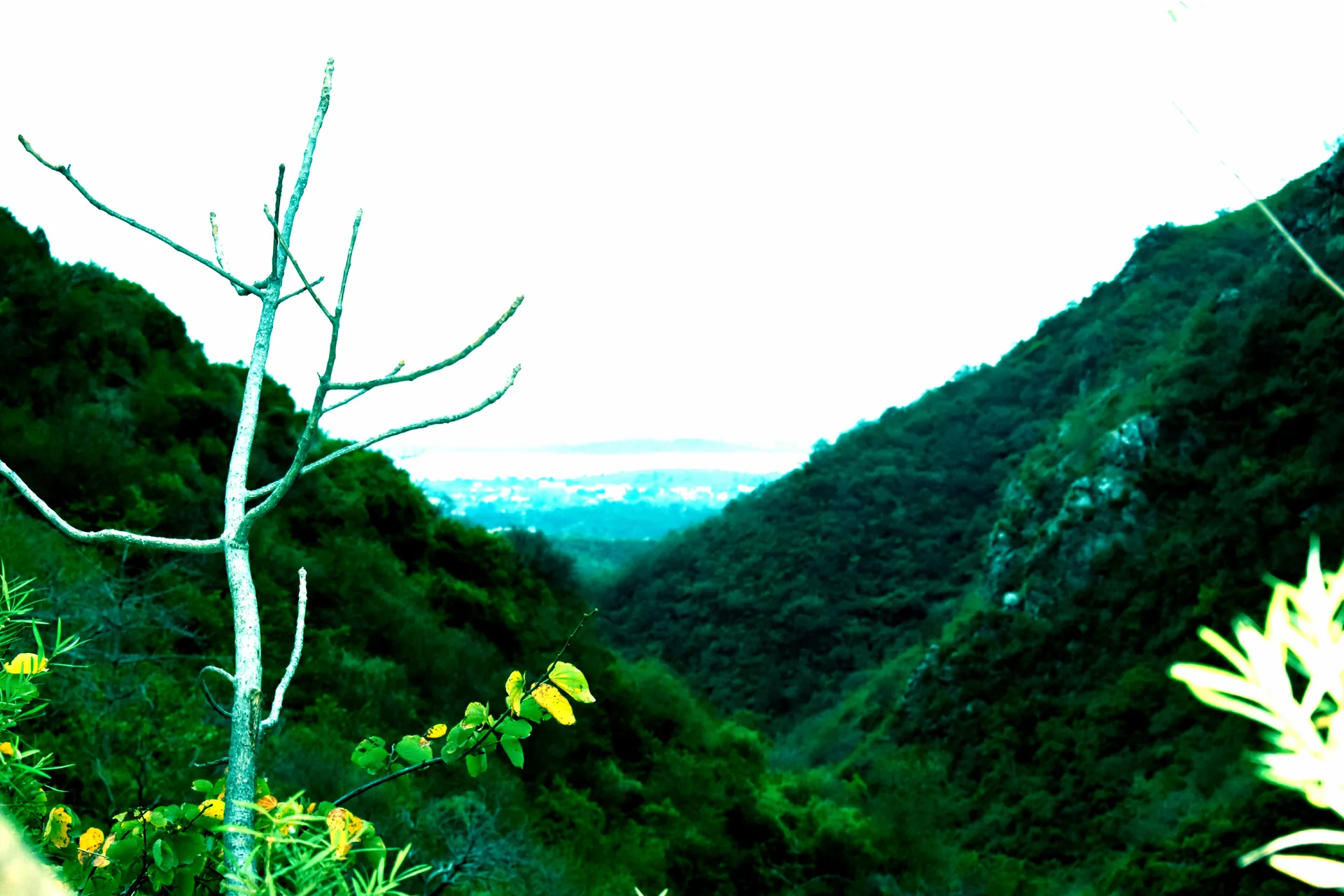 Margalla Hills trail